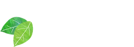 情報公開