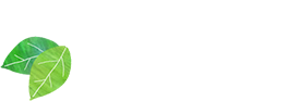 情報公開