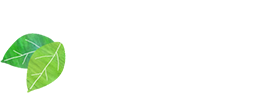 情報公開